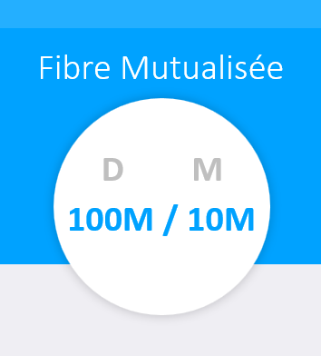 Internet Pro - Fibre Mutualisée 100M/10M