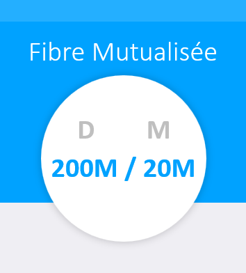 Internet Pro - Fibre Mutualisée 200M/20M
