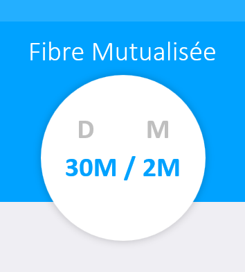 Internet Pro - Fibre Mutualisée 30M/2M